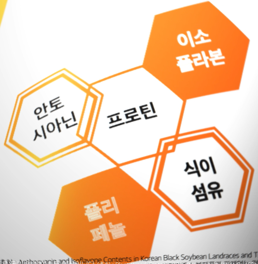 혈당 관리 이미지
